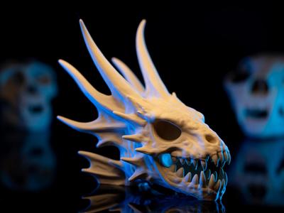The Dragonfish Skull Fossil