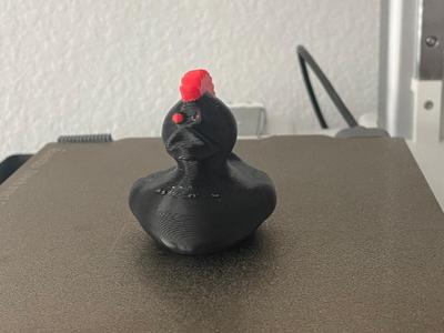 Mohawk Duck 