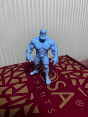 Hulk Hogan WWE