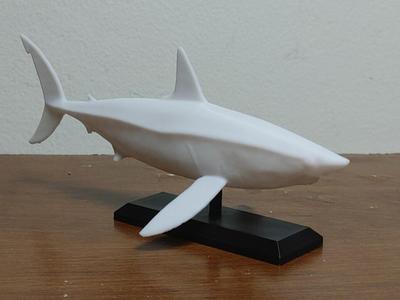 Mako Shark Mount