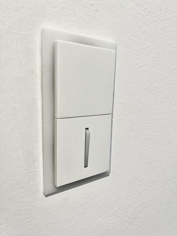 ABB Neo plug