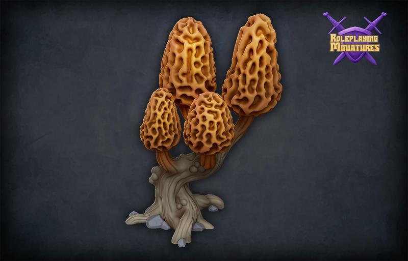 Morel mushroom tree