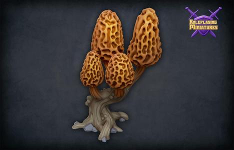 Morel mushroom tree