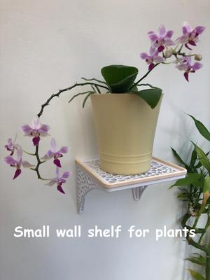 Small Decorative Wall Shelf