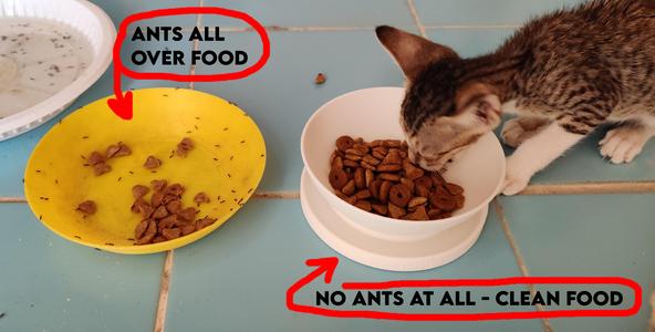 Ants Proof Cat Food Bowl with water trench