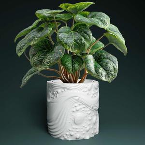 Cosmic plant pot with drainage 3D Printer STL file: instant download, Plant lovers gift