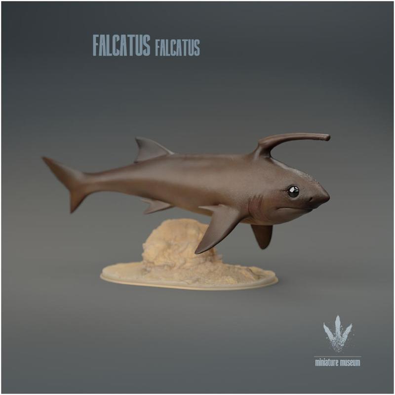 Falcatus falcatus : The Prehistoric Chimaera