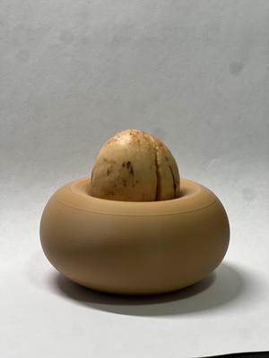 Acovado Planter Pot