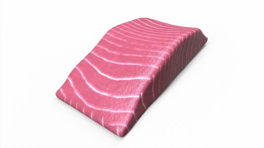 Fish Meat