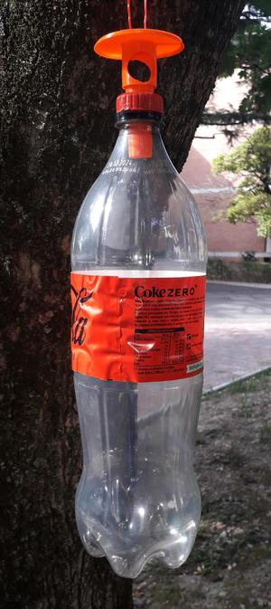 Wasp & giant hornet trap for PET bottles with any size cap.
