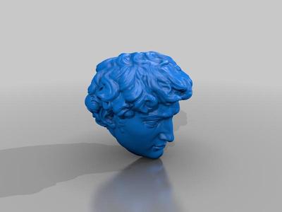Michaelangelo's David Bust bisected at a 45 for cleanest print
