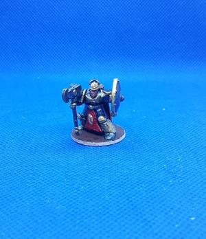 Shield Dwarf 2.0