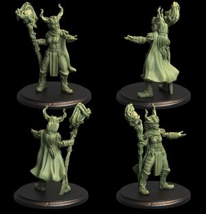Elf Druid