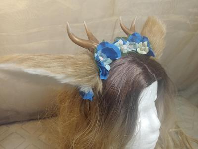 Deer horns collection, higher resolution, aditional comertial use