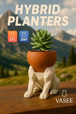 Accent Planter – Stylish Home Display