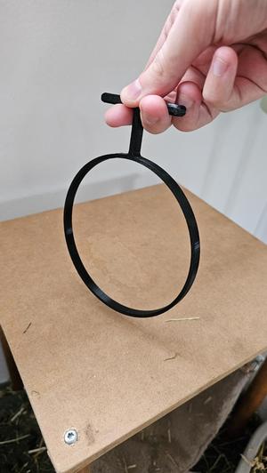 Guinea pig training hoop
