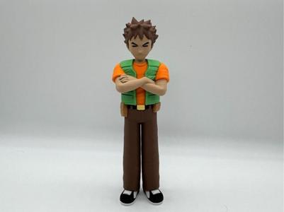 Brock Multicolor