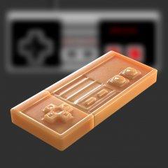 Flash Memory Stick Nintendo Case