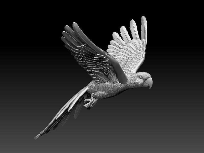 parrot flying in air