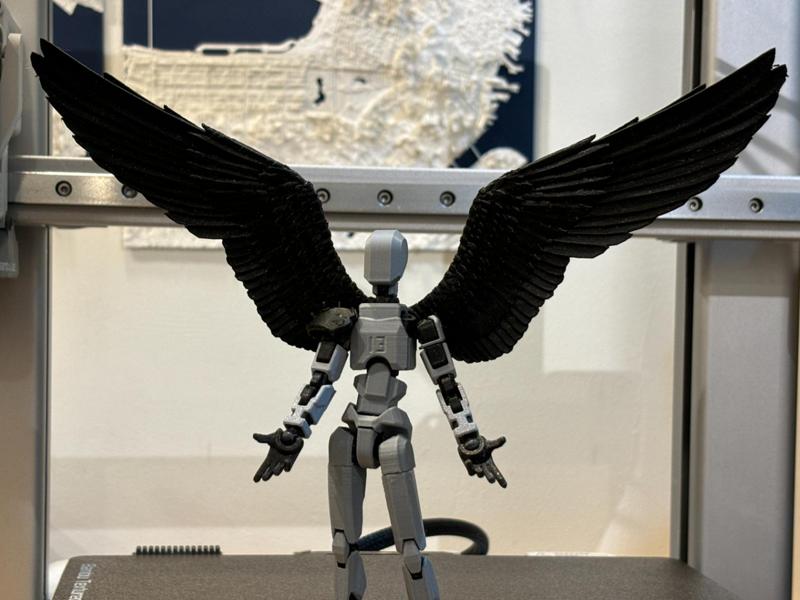 Dummy 13 Wings