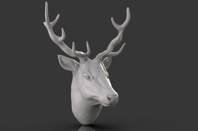 Deer Head