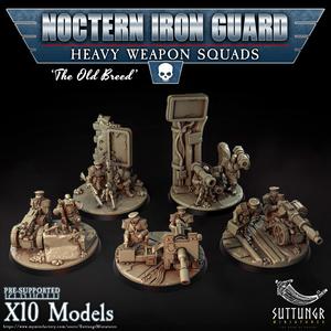 Noctern Iron Guard - Heavy Weapons Squad