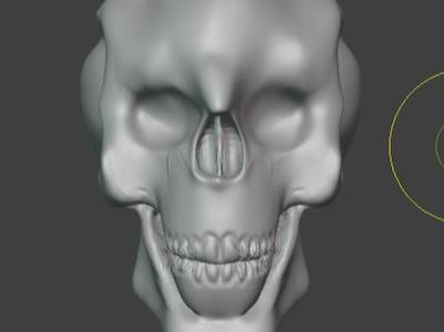 skull