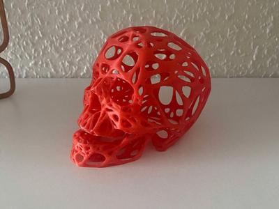 Voronoi skull