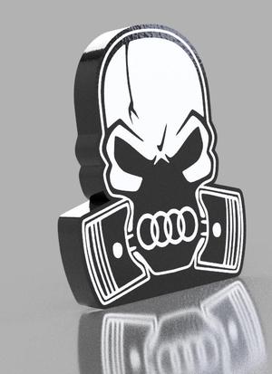 skull audi