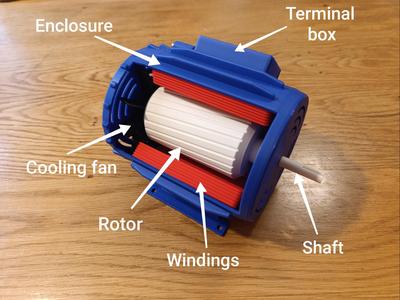 AC electric motor