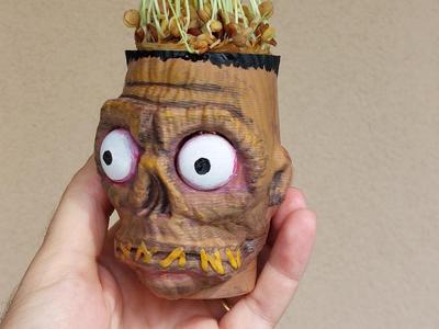 Growing BOB shrunken head beetlejuice