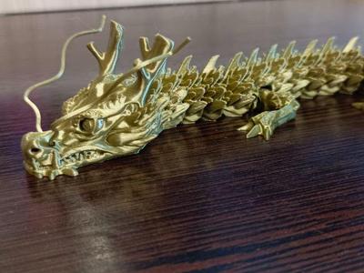The Chinese Articulated Dragon