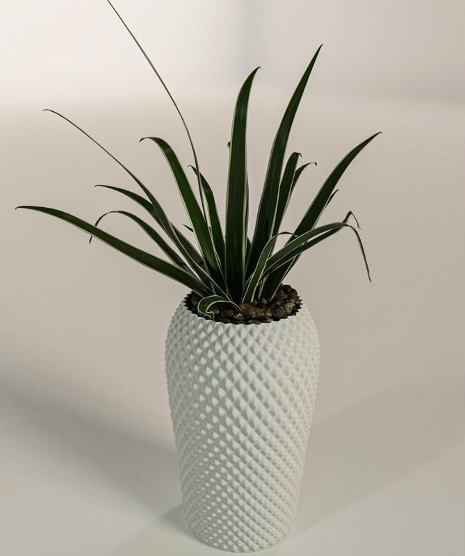 Vase