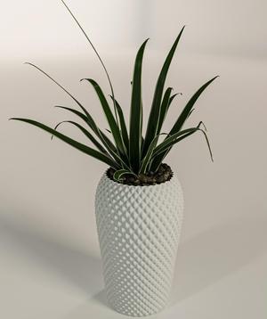 Vase