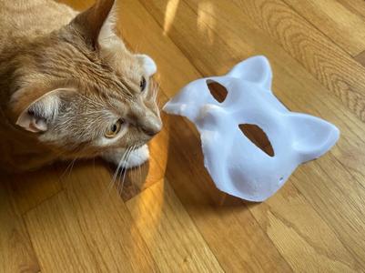 Human Sized Paintable Cat Mask