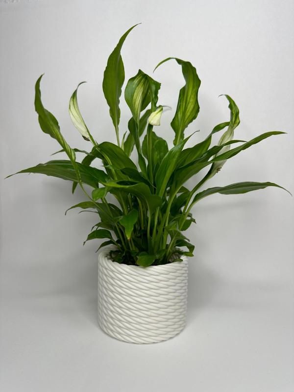Braided basket look plant pot