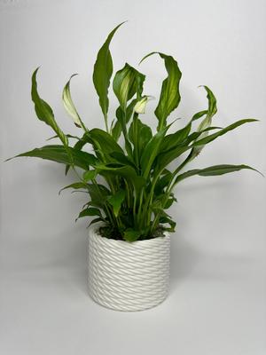 Braided basket look plant pot