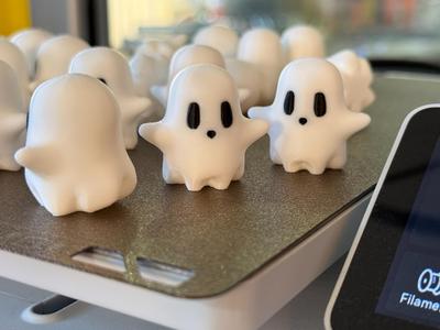 Tiny Butt Ghost Model