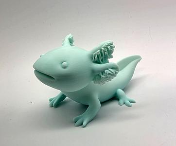 Axolotl #1