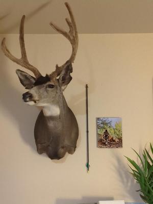 Arrow Wall Mount