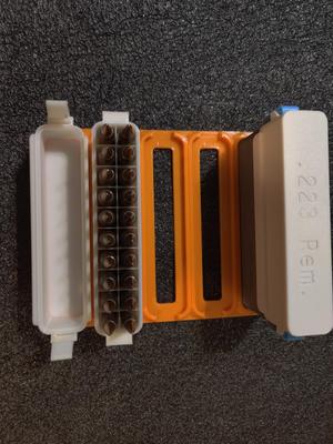 .223 Remington, Pocket Spring Latch Modular Ammo Box