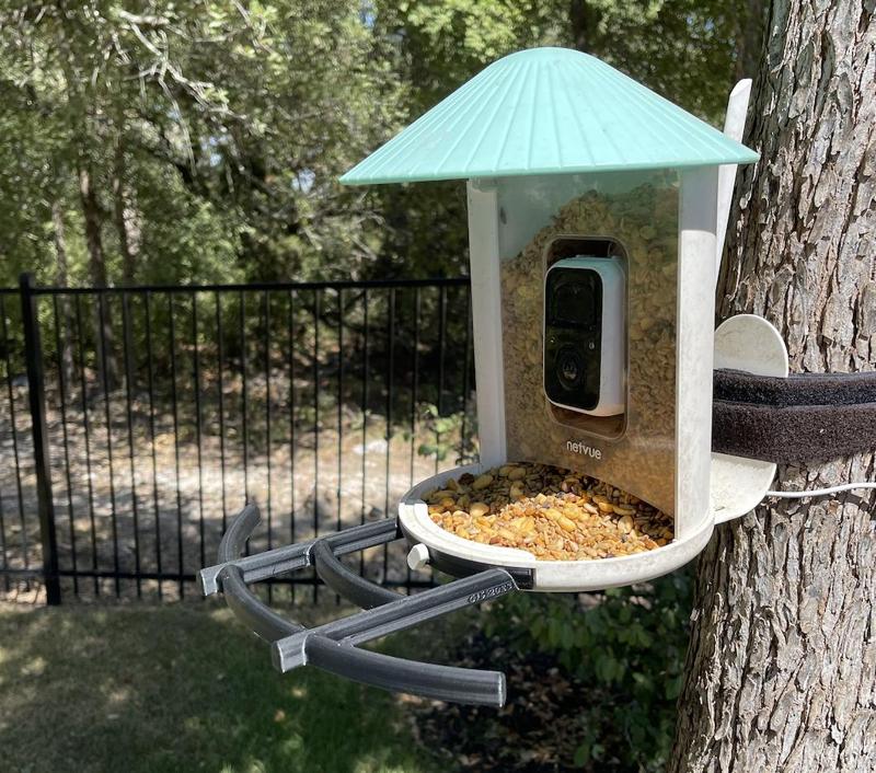 Perch for Netvue Smart Bird Feeder