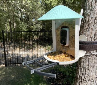 Perch for Netvue Smart Bird Feeder