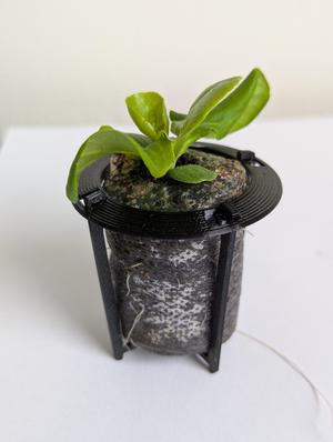 Free Roots - Swelling Tab Pot