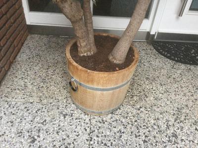 Flower Pot Grip
