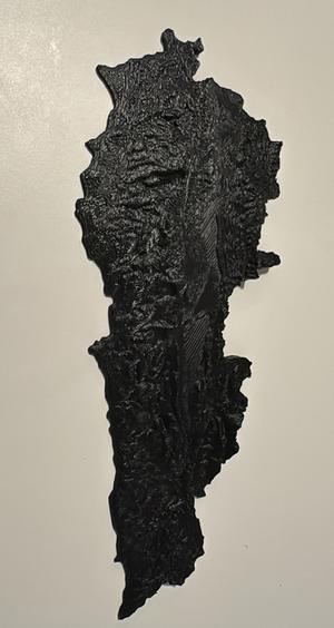 Topographic map - Lebanon (optimized)