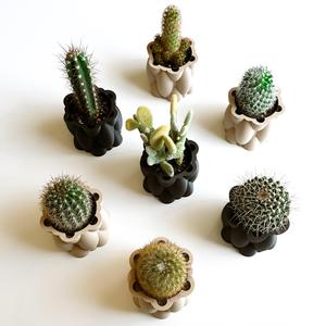 pneumaFORM Mini Planter.3mf