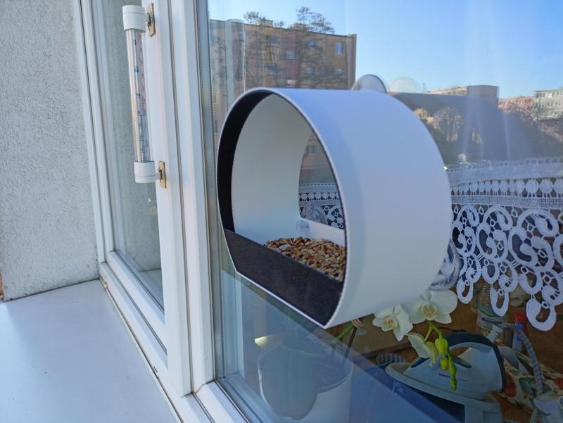 Window bird feeder