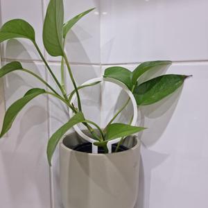 Eco+Loop+3+sizes+v1.3mf