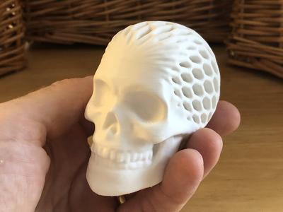 Architected Skull (Hex Honeycomb)